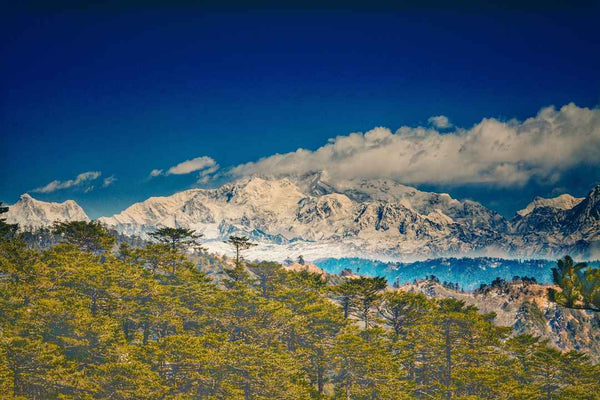 Sandakphu Trek