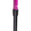 RENT QUECHUA Trekking Pole | Free Delivery | Snow hiking stick